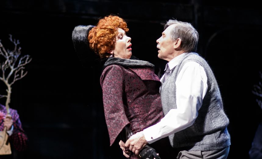 Визит старой дамы