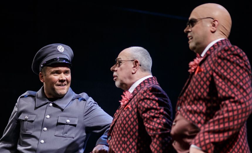 Визит старой дамы