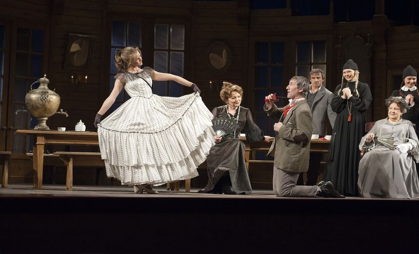 Село Степанчиково и его обитатели