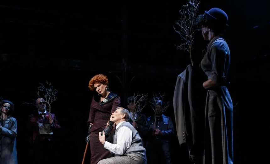 Визит старой дамы